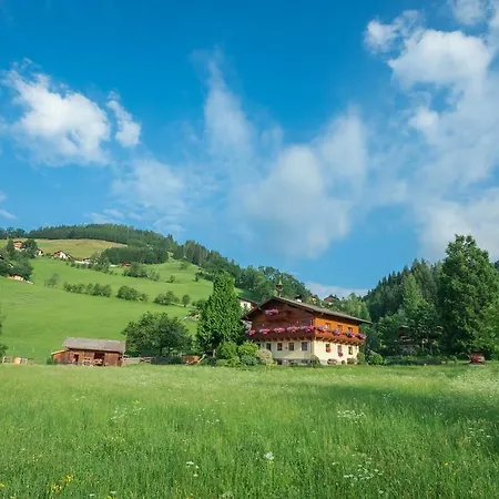 Bauernhof Auhof Apartment Wagrain