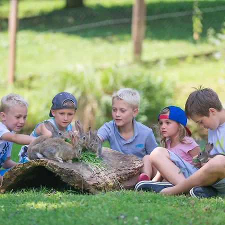 Apartment Bauernhof Auhof Wagrain