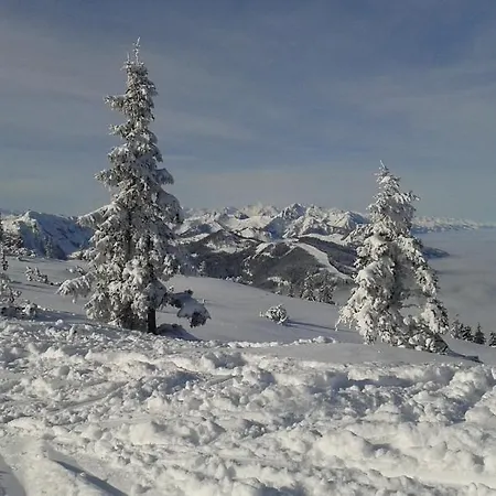Bauernhof Auhof Appartement Wagrain