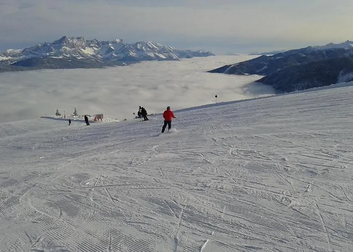 Bauernhof Auhof 아파트