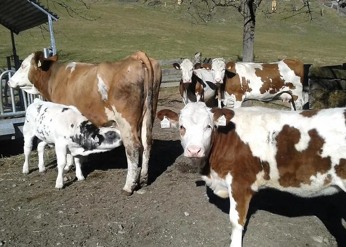 아파트 Bauernhof Auhof 바그라인